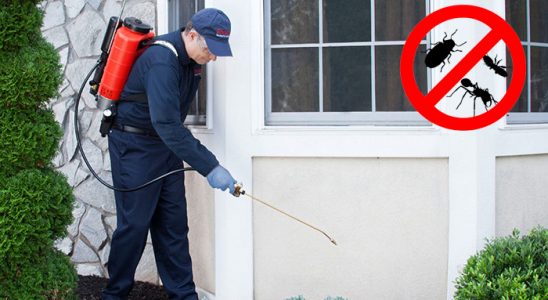 Gevaş Karınca İlaçlama böcek ilaçlama ve haşere kontrolü — ilaclama-tr.com